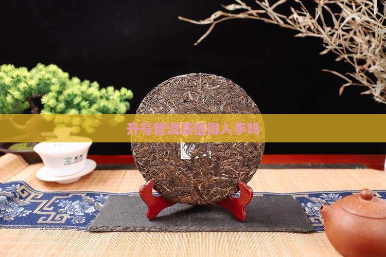 升号普洱茶值得入手吗