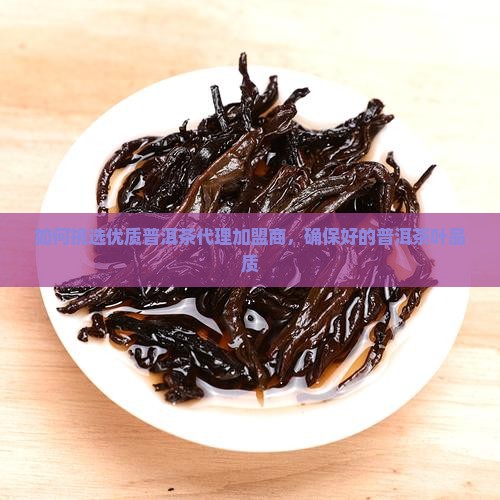 如何挑选优质普洱茶代理加盟商，确保好的普洱茶叶品质