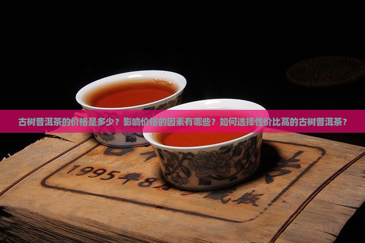 古树普洱茶的价格是多少？影响价格的因素有哪些？如何选择性价比高的古树普洱茶？