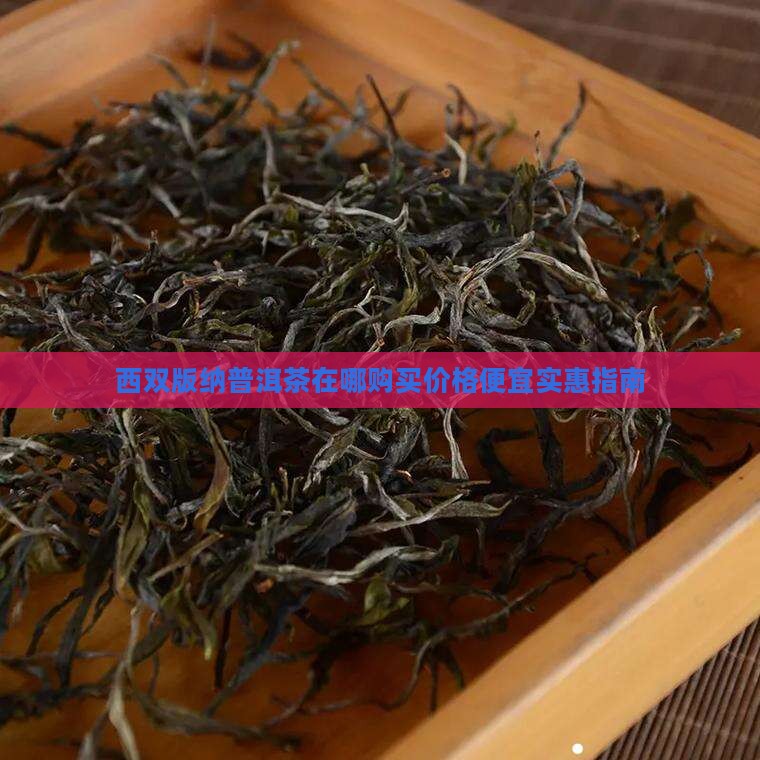 西双版纳普洱茶在哪购买价格便宜实惠指南