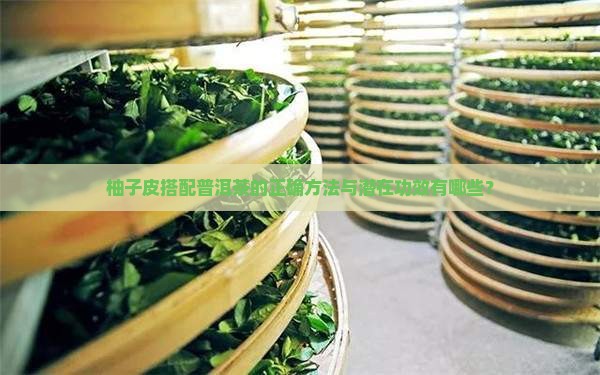 柚子皮搭配普洱茶的正确方法与潜在功效有哪些？