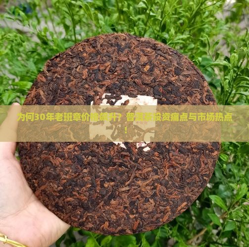 为何30年老班章价格飙升？普洱茶投资痛点与市场热点！