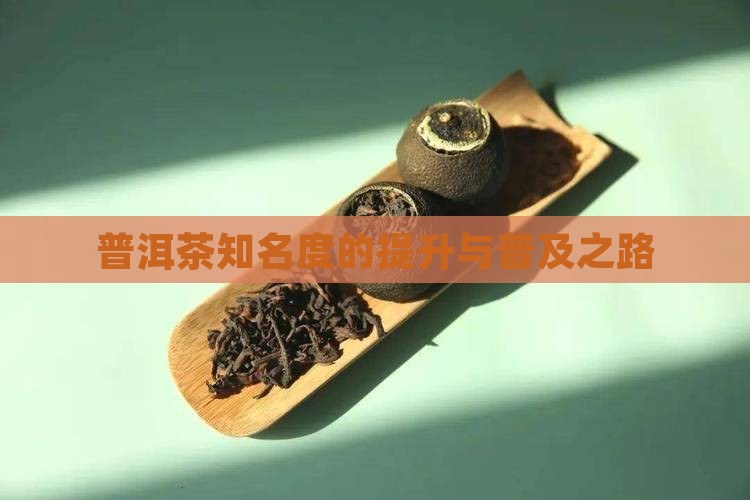普洱茶知名度的提升与普及之路