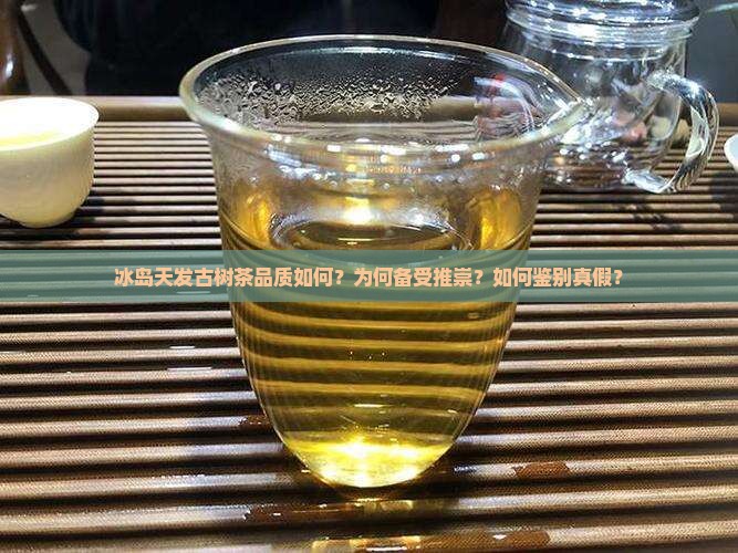冰岛天发古树茶品质如何？为何备受推崇？如何鉴别真假？