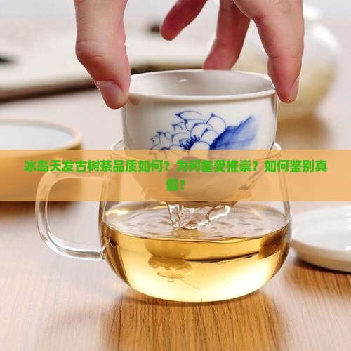 冰岛天发古树茶品质如何？为何备受推崇？如何鉴别真假？