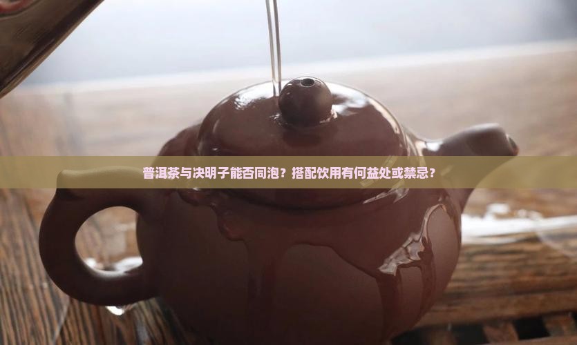 普洱茶与决明子能否同泡？搭配饮用有何益处或禁忌？