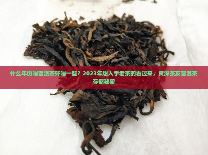 什么年份喝普洱茶好喝一些？2023年想入手老茶的看过来，资深茶友普洱茶存储秘密