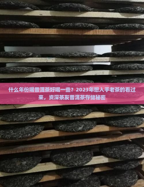 什么年份喝普洱茶好喝一些？2023年想入手老茶的看过来，资深茶友普洱茶存储秘密