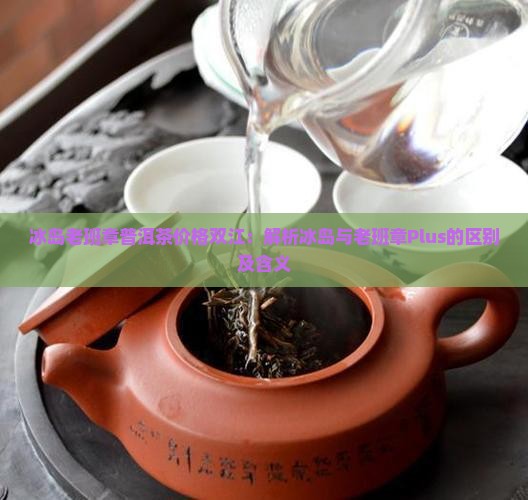 冰岛老班章普洱茶价格双江：解析冰岛与老班章Plus的区别及含义