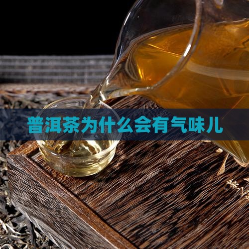 普洱茶为什么会有气味儿