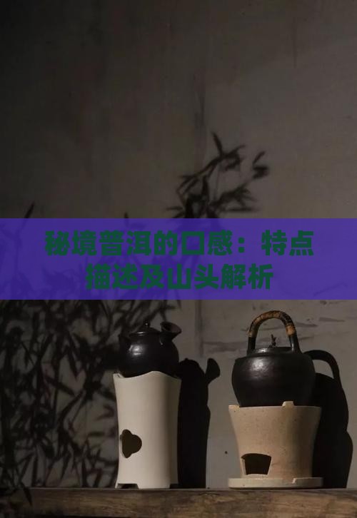 秘境普洱的口感：特点描述及山头解析