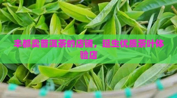 丰都卖普洱茶的店铺，延生优质茶叶体验店