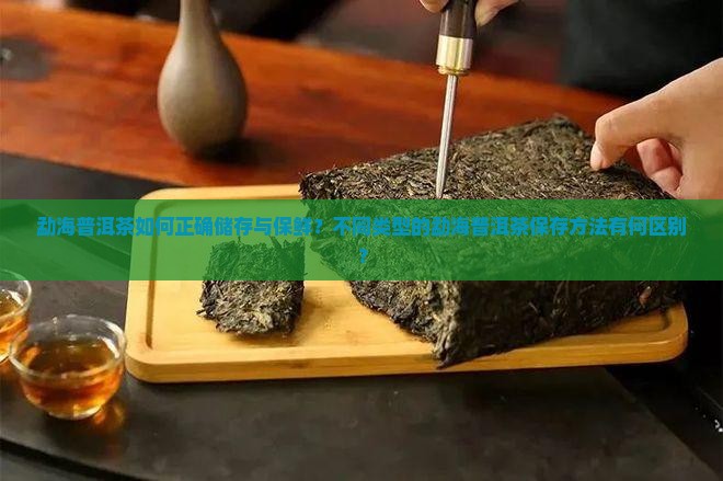 勐海普洱茶如何正确储存与保鲜？不同类型的勐海普洱茶保存方法有何区别？