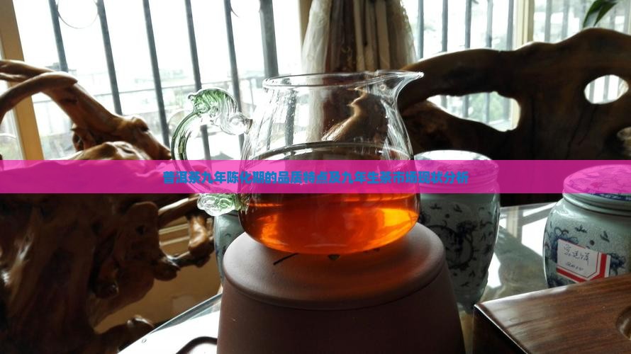普洱茶九年陈化期的品质特点及九年生茶市场现状分析