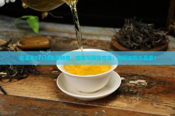普洱茶726特品种特性、功效与保存方法：如何选购与品鉴？