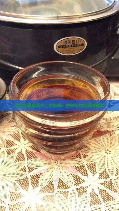 班盆老寨普洱茶口感怎样：古树茶独特风味体验