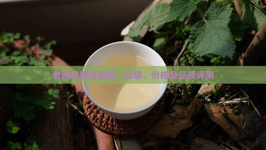 老班章普洱茶散：口感、价格及品质评测
