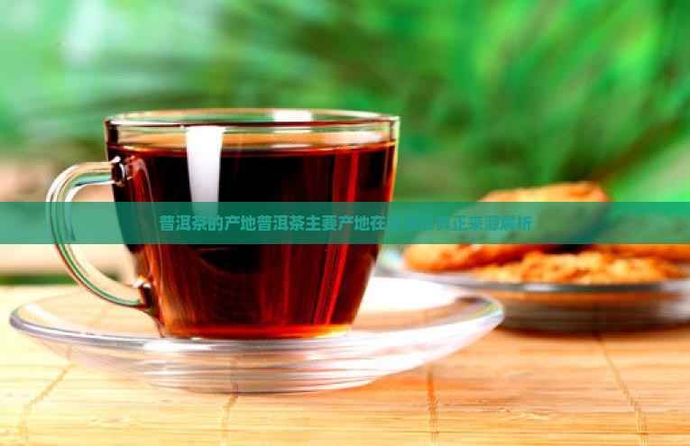 普洱茶的产地普洱茶主要产地在哪里及真正来源解析