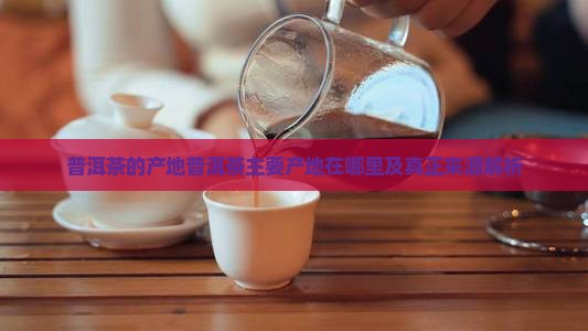 普洱茶的产地普洱茶主要产地在哪里及真正来源解析