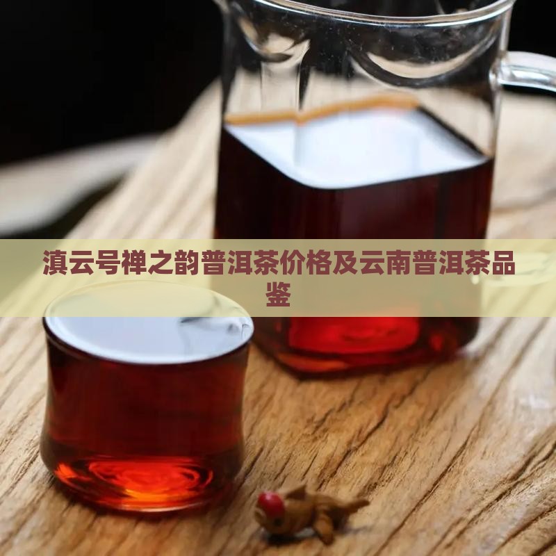 滇云号禅之韵普洱茶价格及云南普洱茶品鉴