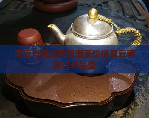 滇云号禅之韵普洱茶价格及云南普洱茶品鉴