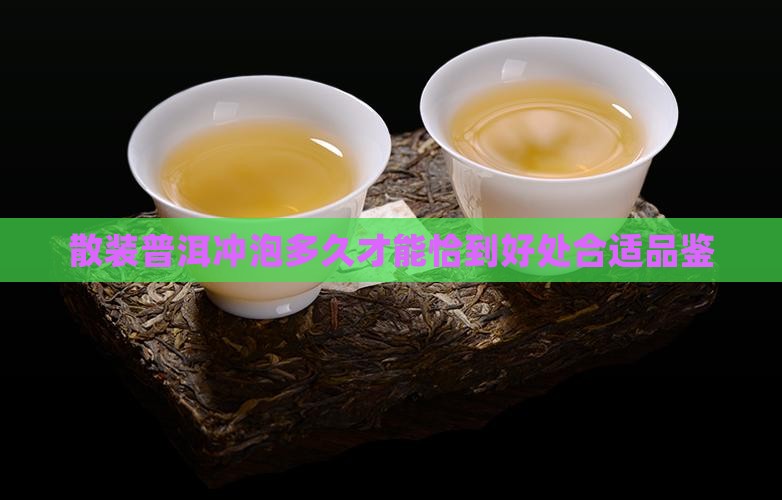 散装普洱冲泡多久才能恰到好处合适品鉴