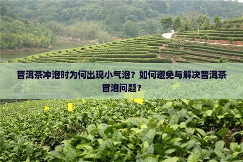 普洱茶冲泡时为何出现小气泡？如何避免与解决普洱茶冒泡问题？