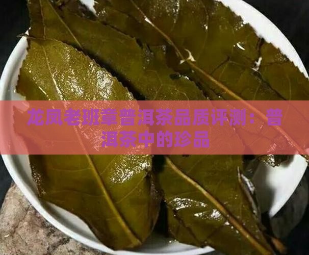 龙凤老班章普洱茶品质评测：普洱茶中的珍品