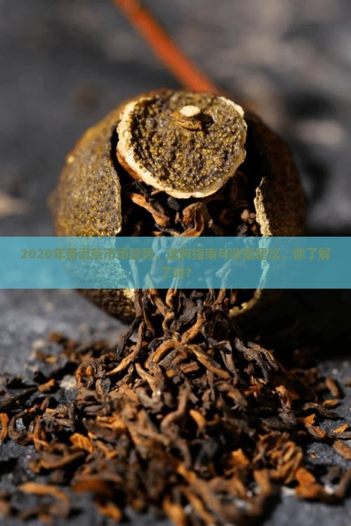 2020年普洱茶市场趋势、选购指南与收藏建议，你了解了吗？