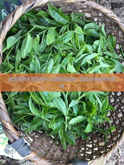 普洱茶黑色究竟是什么原因导致的？普洱茶中的黑色奥秘