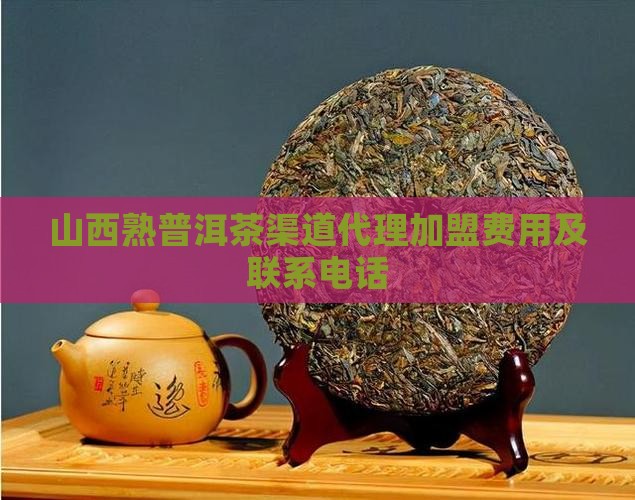 山西熟普洱茶渠道代理加盟费用及联系电话