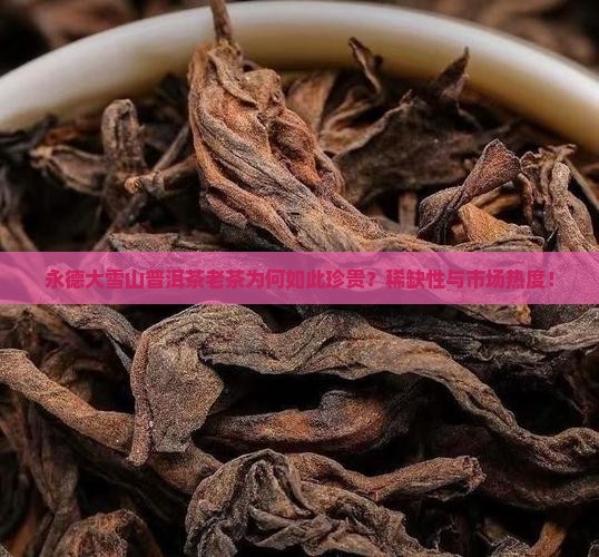 永德大雪山普洱茶老茶为何如此珍贵？稀缺性与市场热度！