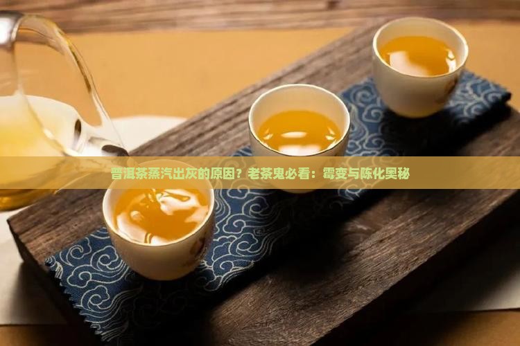 普洱茶蒸汽出灰的原因？老茶鬼必看：霉变与陈化奥秘