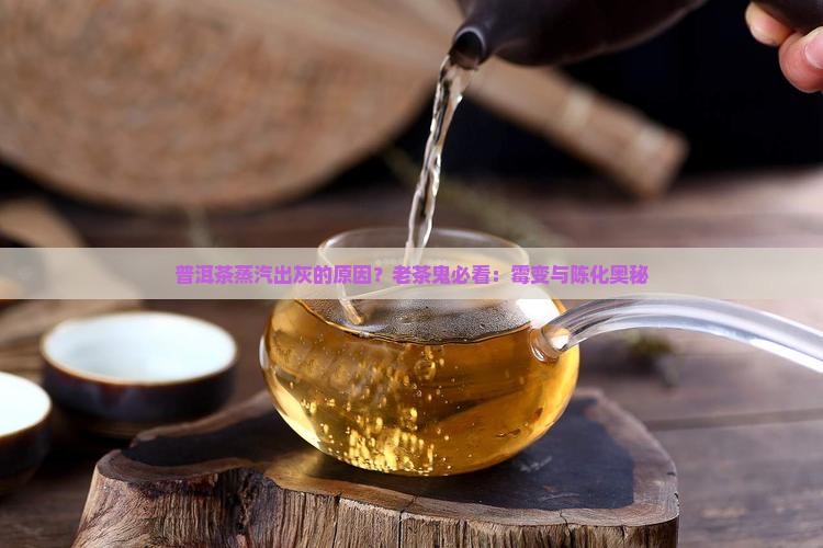 普洱茶蒸汽出灰的原因？老茶鬼必看：霉变与陈化奥秘