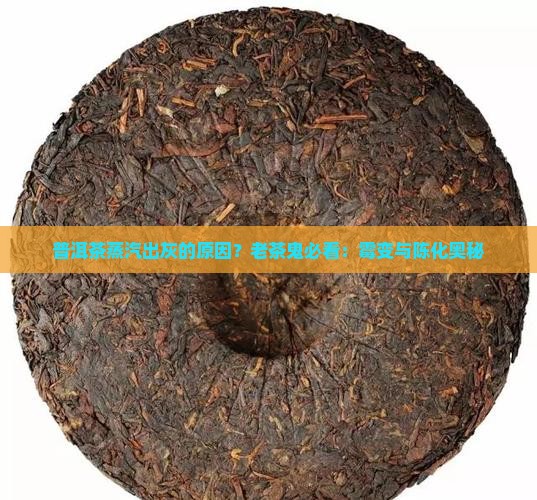 普洱茶蒸汽出灰的原因？老茶鬼必看：霉变与陈化奥秘