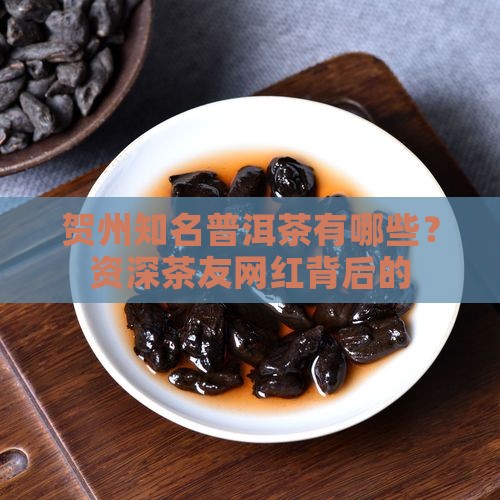 贺州知名普洱茶有哪些？资深茶友网红背后的