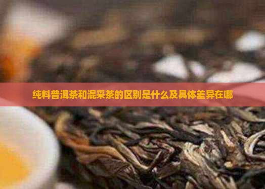 纯料普洱茶和混采茶的区别是什么及具体差异在哪