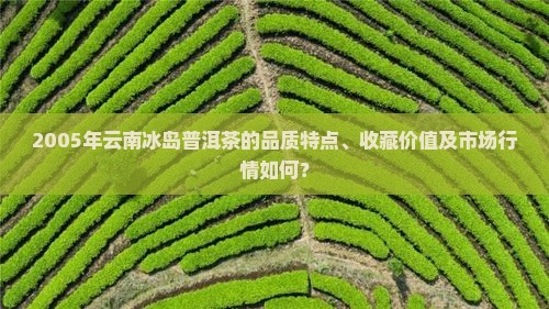 2005年云南冰岛普洱茶的品质特点、收藏价值及市场行情如何？