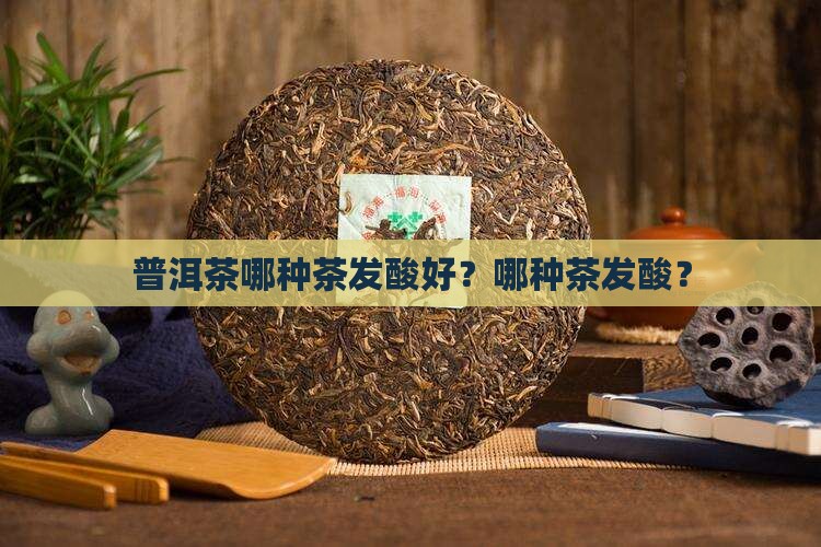 普洱茶哪种茶发酸好？哪种茶发酸？