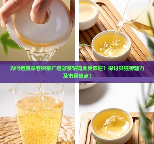 为何老班章老树茶厂这款茶饼如此受欢迎？探讨其独特魅力及市场热点！
