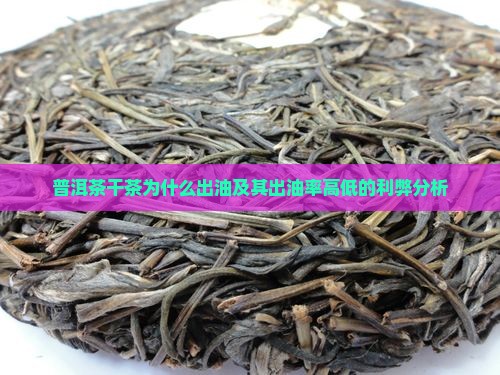 普洱茶干茶为什么出油及其出油率高低的利弊分析
