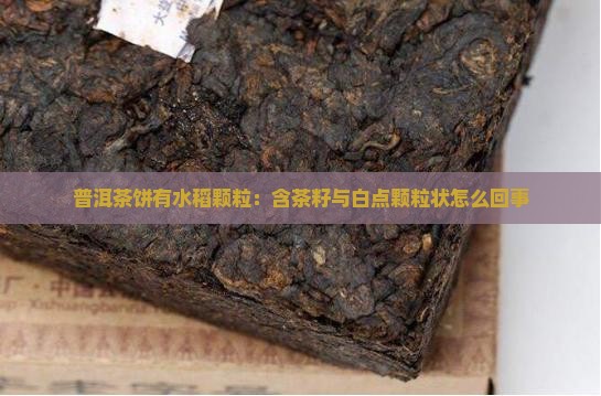 普洱茶饼有水稻颗粒：含茶籽与白点颗粒状怎么回事