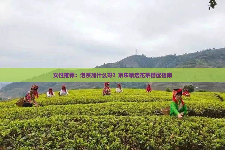 女性推荐：泡茶加什么好？京东精选花茶搭配指南
