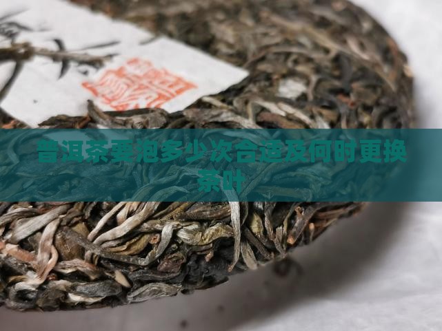 普洱茶要泡多少次合适及何时更换茶叶