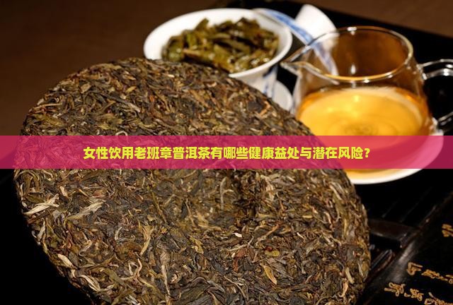 女性饮用老班章普洱茶有哪些健康益处与潜在风险？