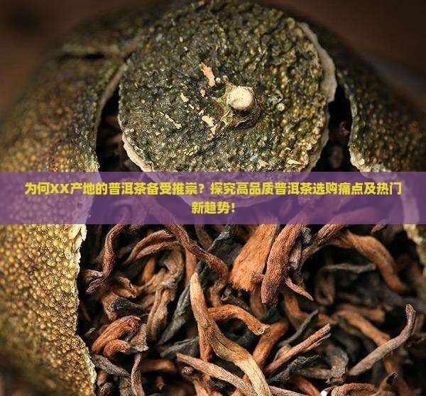 为何XX产地的普洱茶备受推崇？探究高品质普洱茶选购痛点及热门新趋势！