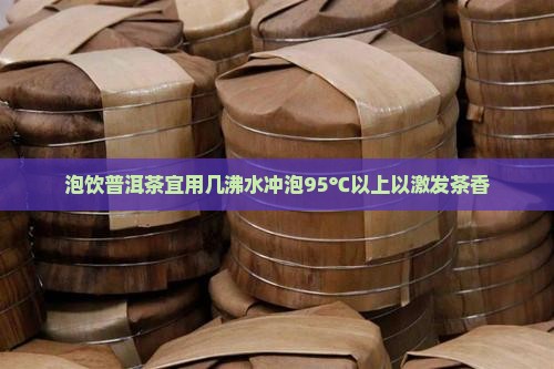 泡饮普洱茶宜用几沸水冲泡95℃以上以激发茶香