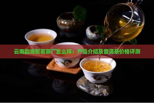 云南勐海聚茗茶厂怎么样：产品介绍及普洱茶价格评测