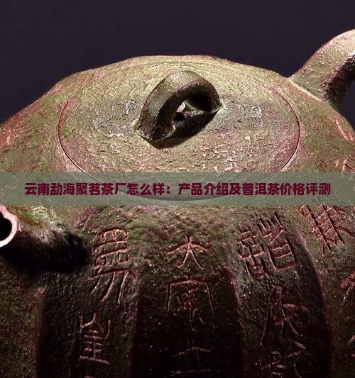 云南勐海聚茗茶厂怎么样：产品介绍及普洱茶价格评测