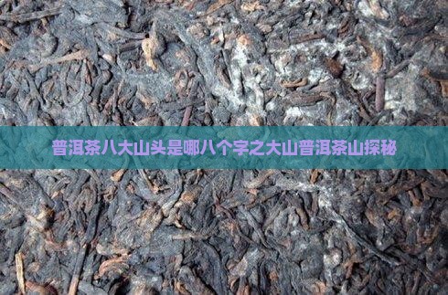 普洱茶八大山头是哪八个字之大山普洱茶山探秘